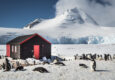 Antarctica Port Lockroy c Dietmar Denger Oceanwide Expeditions