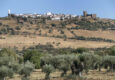 Magic of the Montado