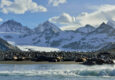 Antarctica south georgia c Martin van Lokven