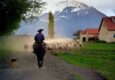 Argentina patagonia estancia nibepo aike c hotel