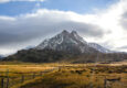 Argentina patagonia parque roballos c rewilding argentina