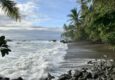 Costa rica osa peninsula drake bay beach c thomas power pura aventura