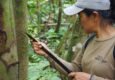 Ecuador amazon rocio guiding walk chris bladon