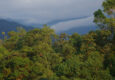 Ecuador mindo cloud forest canopy 2 chris bladon