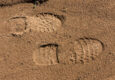 Footprints1