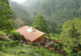Nicaragua jinotega cloudforest bastilla lodge c vapues