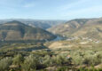 Porto & the Douro Valley