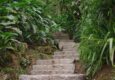 Peru machu picchu birdwatching 20 c chris bladon