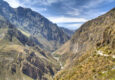 Colca Canyon & Arequipa
