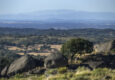 Portugal alentejo castelodavide marvao landscape