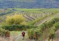Portugal douro loivos pinhao hike seven