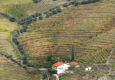 Portugal douro quinta autumn