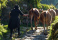 Portugal peneda hiking sistelo padrao farmer cows c diego