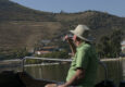 Douro Valley