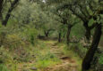 Spain andalucia alajar linares walk copyright chris bladon 4