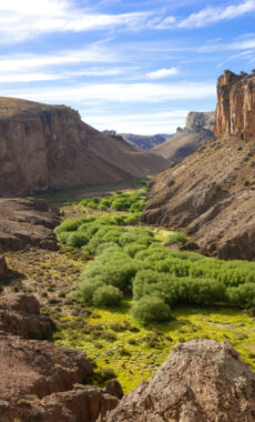 Argentina patagonia parque cañadon pinturas c rewilding argentina