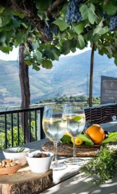 Portugal douro wine views c hotel