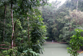 Costa rica osa peninsula walking out from drake bay c matt power