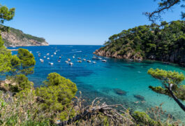 Spain catalonia costa brava aiguablava shuttestock