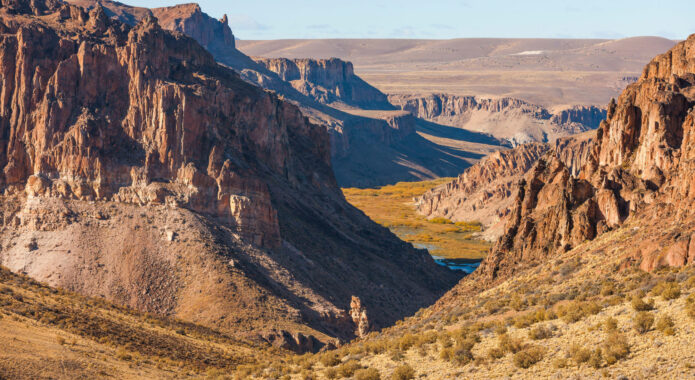 Argentina patagonia parque cañadon pinturas c rewilding argentina