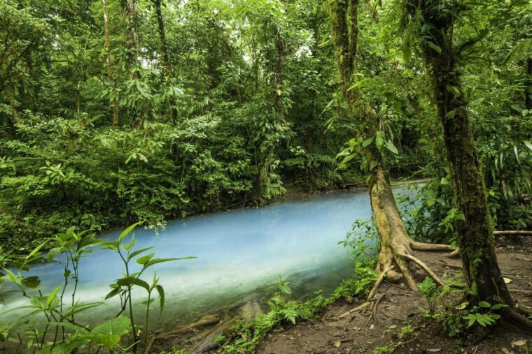 Tenorio National Park