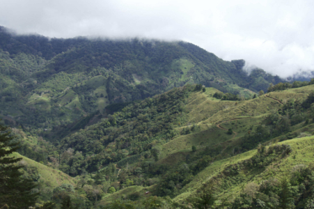 Chirripó National Park