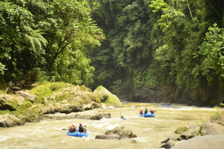 Pacuare