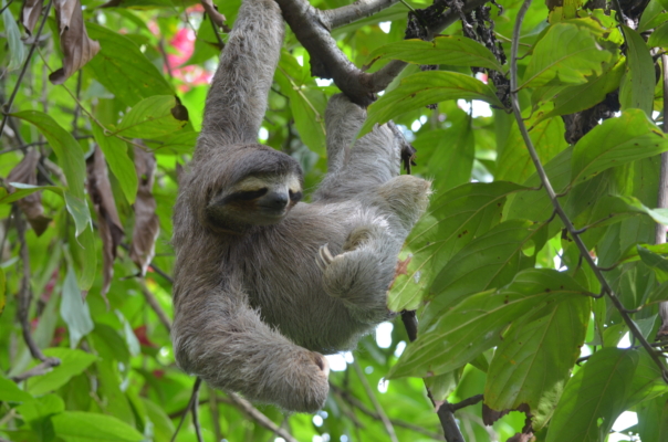 Cahuita National Park