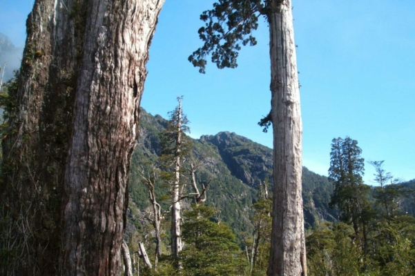 Lake District, Chile