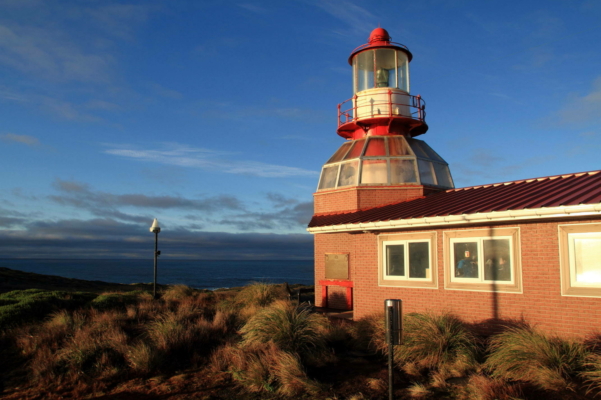 Cape Horn & Tierra del Fuego