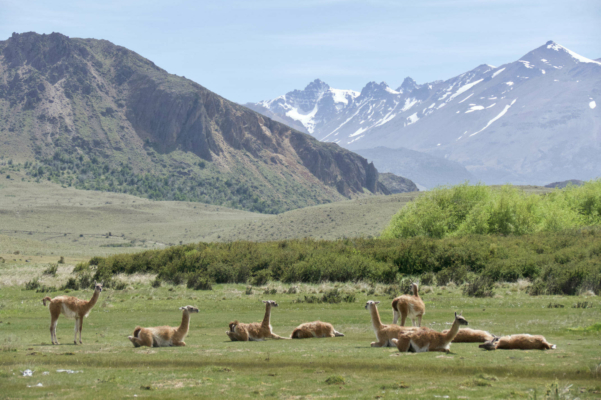 Carretera Austral, Chile