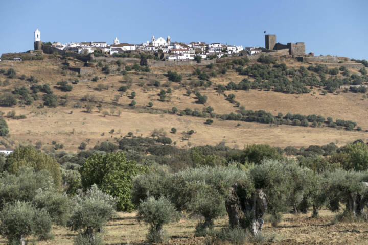 Magic of the Montado