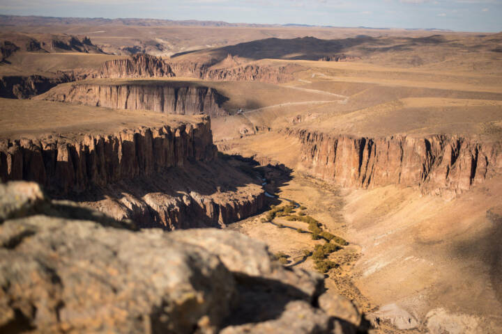 Argentina patagonia parque cañadon pinturas guanaca viewpoint c fabian bezunartea rewilding argentina