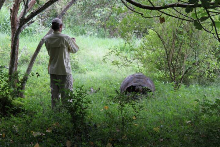 Ecuador galapagos islands guide photographing giant tortoise