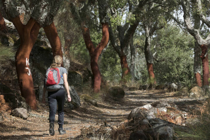 Portugal alentejo marvao galegos hike 8