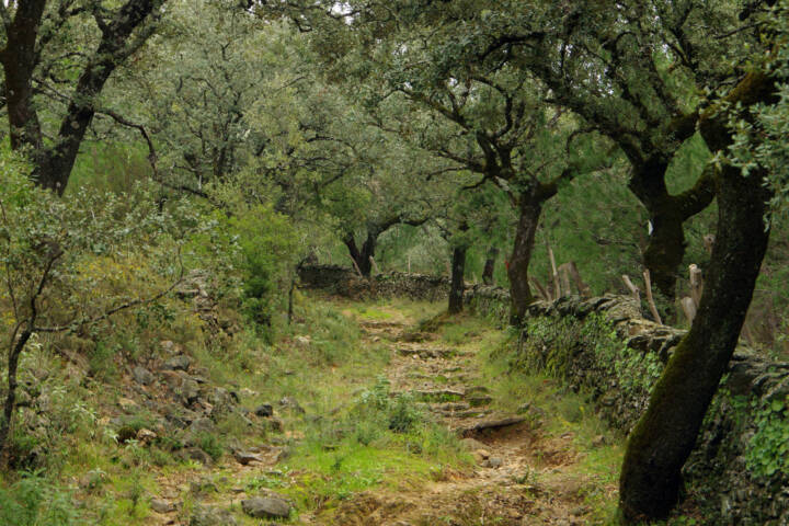 Spain andalucia alajar linares walk copyright chris bladon 4