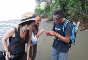 Costa rica osa peninsula corcovado national park hermit crab guide copyright pura aventura thomas power