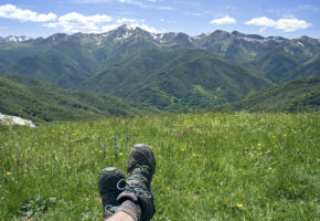 Spain picos de europa liebana meadow c dmartin