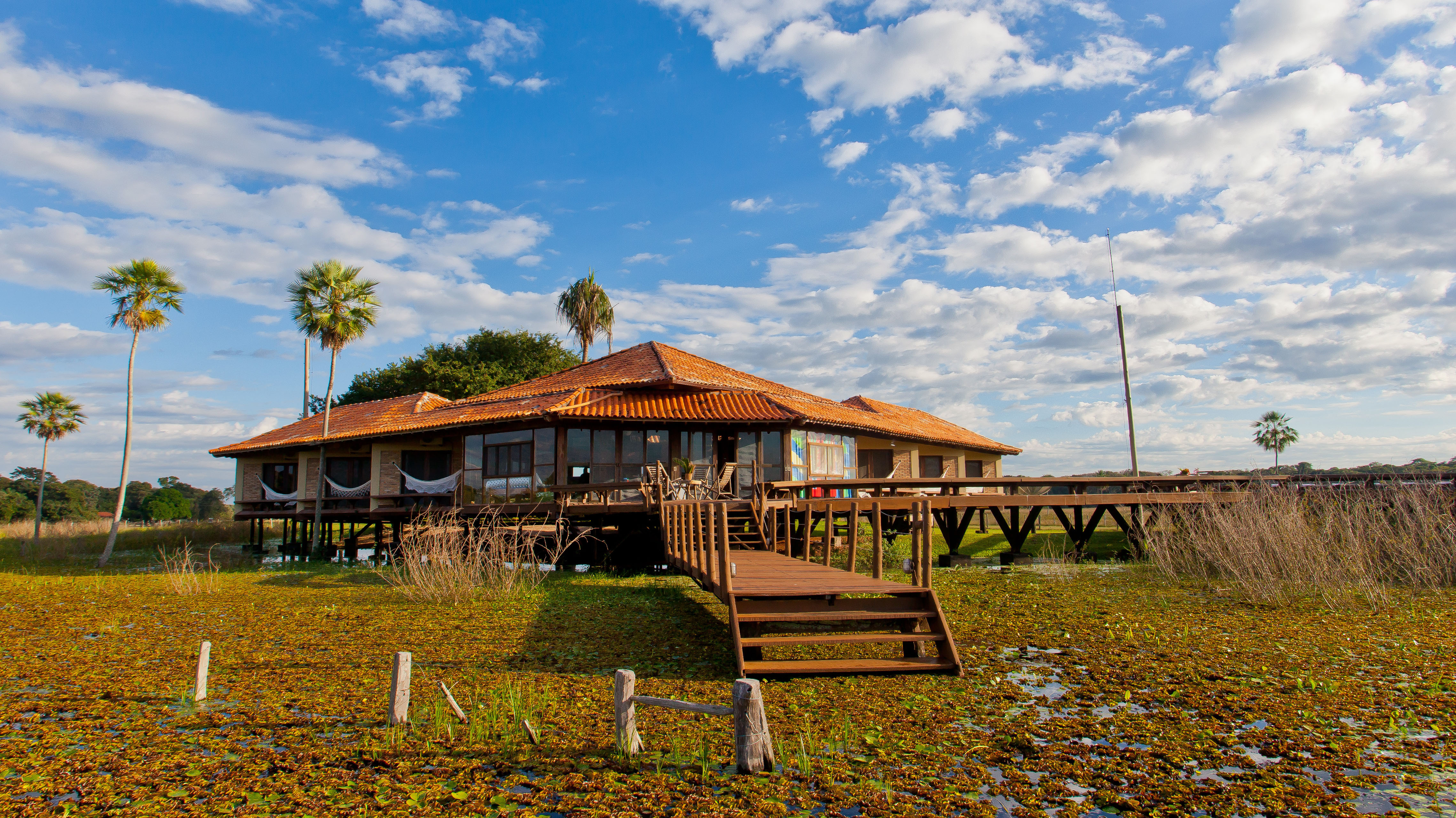 Brazil pantanal caiman lodge c hotel